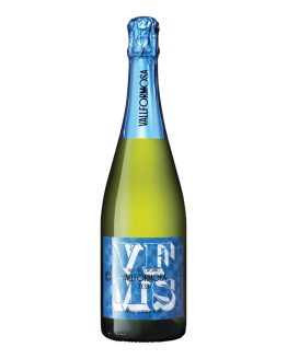 Vallformosa Cava Fest Brut